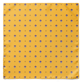 BUMBLEBEE POCKET SQUARE AND TIE SET